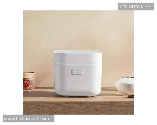 蒙特瑞与拿加沙全面测评对比分析揭示两者优劣势