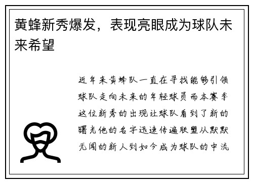 黄蜂新秀爆发，表现亮眼成为球队未来希望